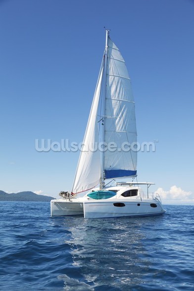 Catamaran at Sea Wallpaper | Wallsauce UK