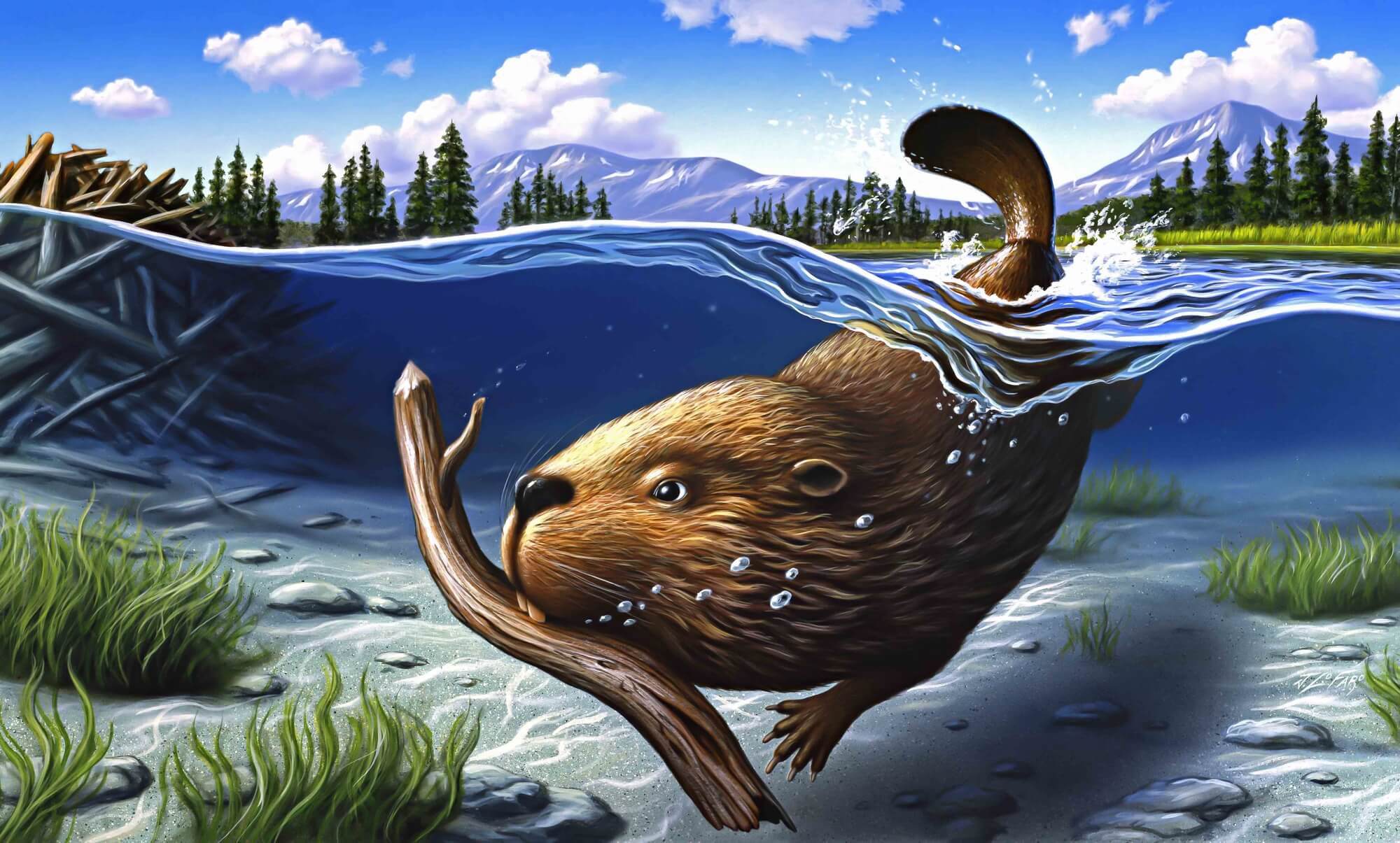 Busy Beaver Wall Mural | Wallsauce UK