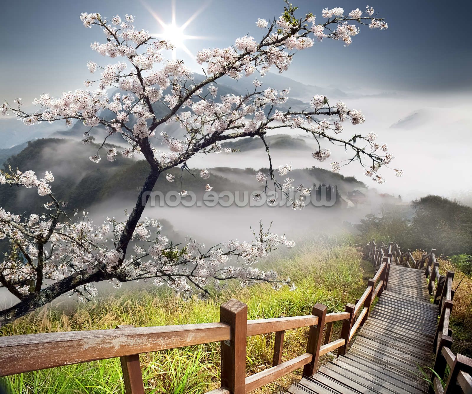 Japanese Walkway Wallpaper Wall Mural | Wallsauce USA