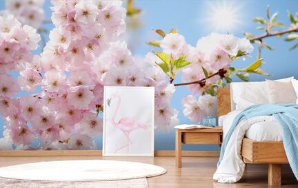 Cherry Blossom Wallpaper Wall Murals Wallsauce Nz