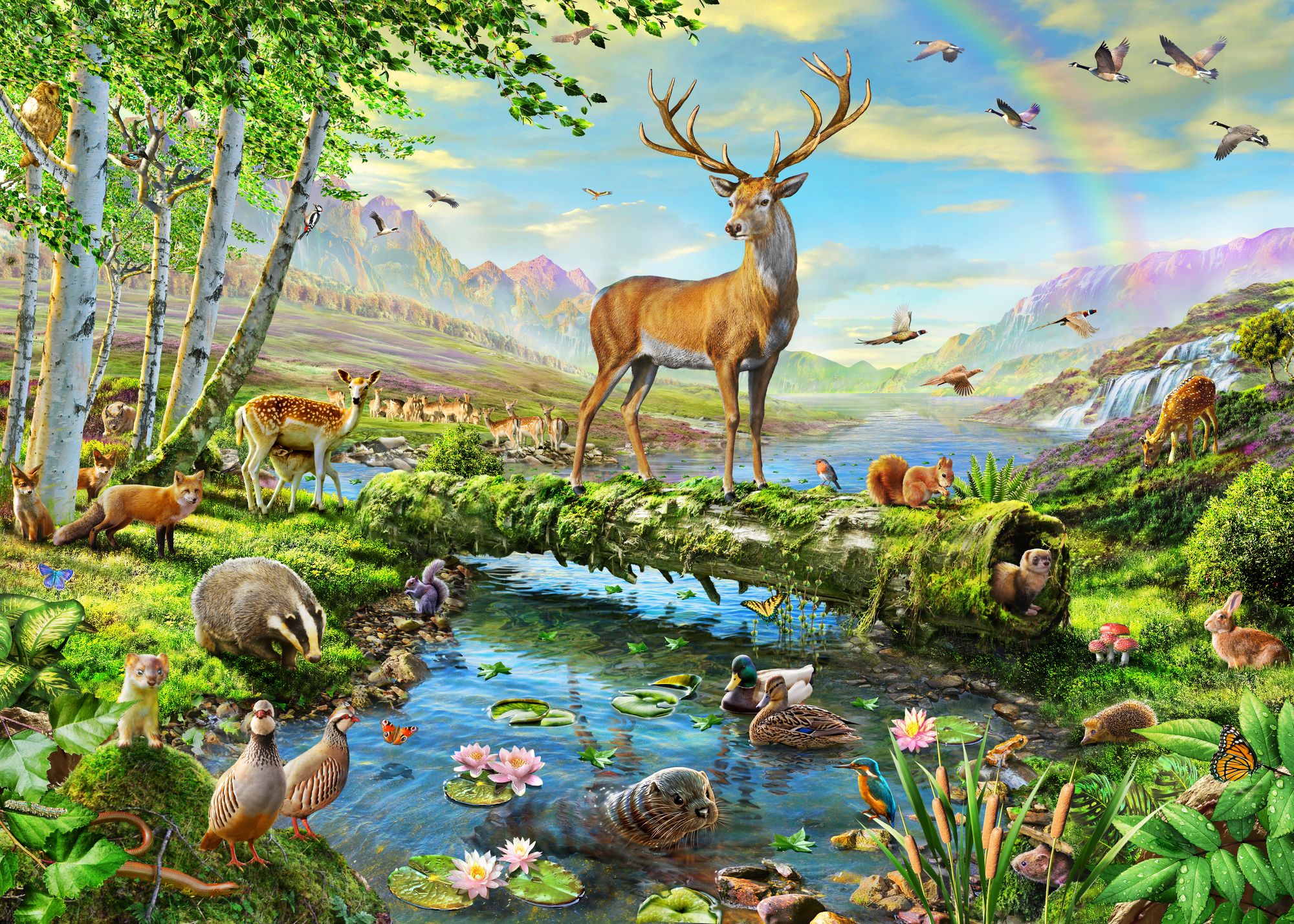 Wildlife Splendor UK Wall Mural & Wildlife Splendor UK Wallpaper ...
