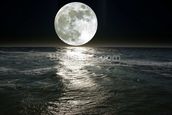 Moon Wallpaper Wall Mural | Wallsauce Australia