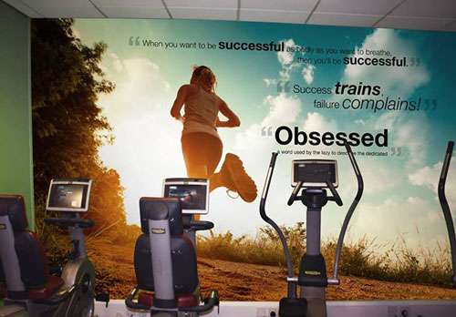 Wall Murals for Gyms  Sports and Gym Wallpaper 