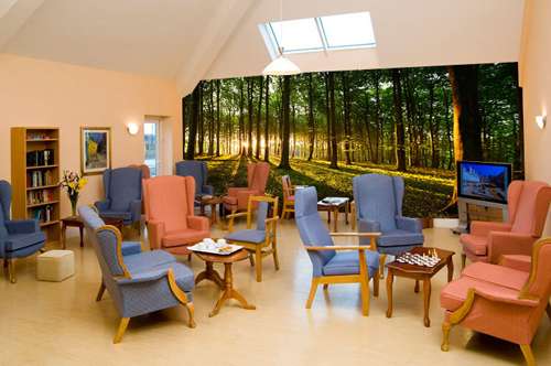 Care Home Wallpaper Murals | Care Home Decor | Wallsauce