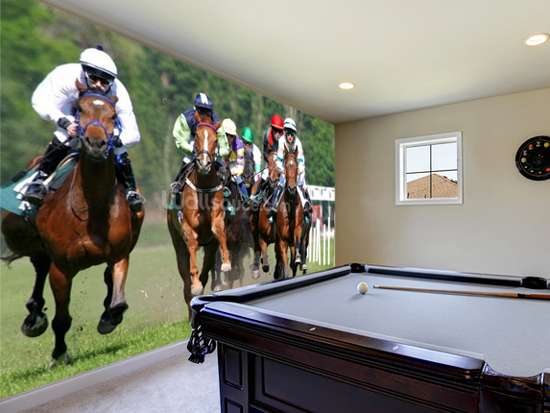 Horse Wall Murals | Equestrian Photo Wallpaper